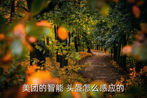 美团的智能 头盔怎么感应的