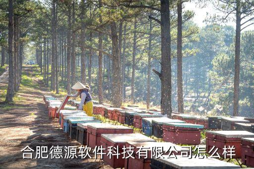  合肥德源软件科技有限公司怎么样