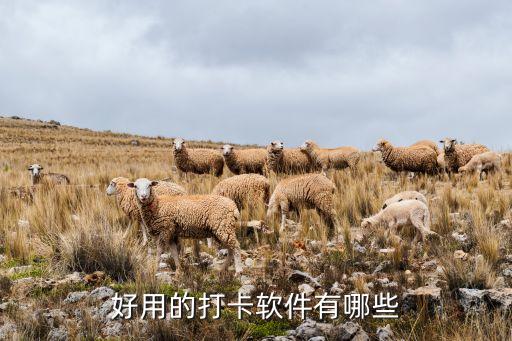 好用的打卡软件有哪些