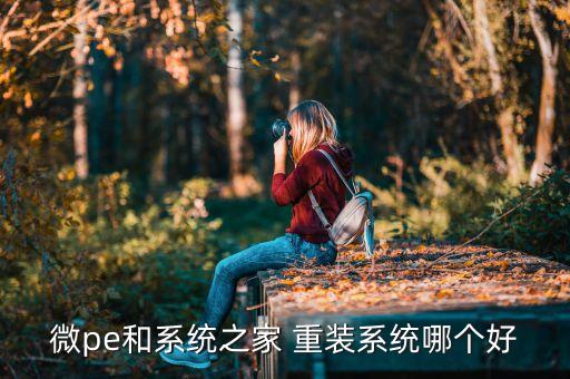 微pe和系统之家 重装系统哪个好