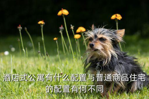 酒店式公寓有什么配置与普通商品住宅的配置有何不同