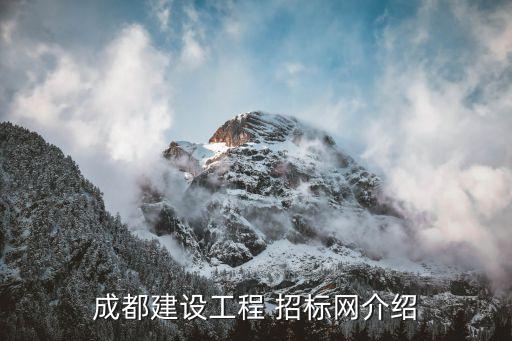 四川系统软件招标