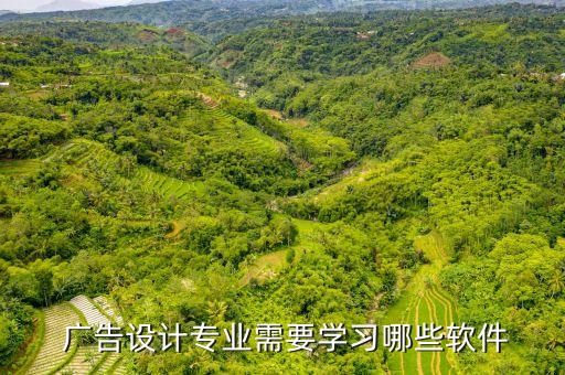  广告设计专业需要学习哪些软件