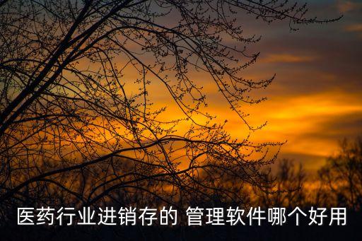 医药行业进销存的 管理软件哪个好用