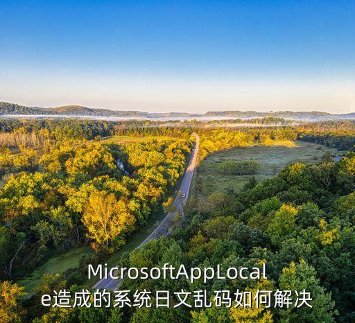 MicrosoftAppLocale造成的系统日文乱码如何解决