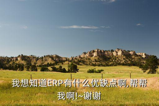 我想知道ERP有什么优缺点啊,帮帮我啊!~谢谢
