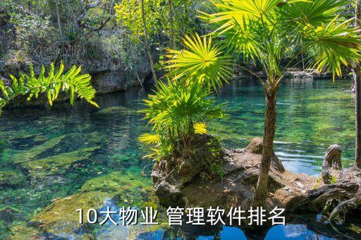 10大物业 管理软件排名
