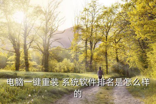 哪些工具可以装系统软件,电脑装系统软件有哪些