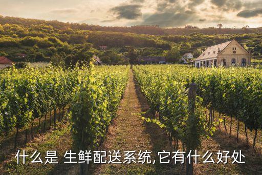 什么是 生鲜配送系统,它有什么好处