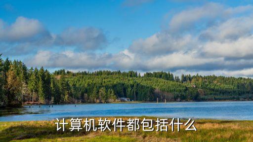 计算机软件都包括什么