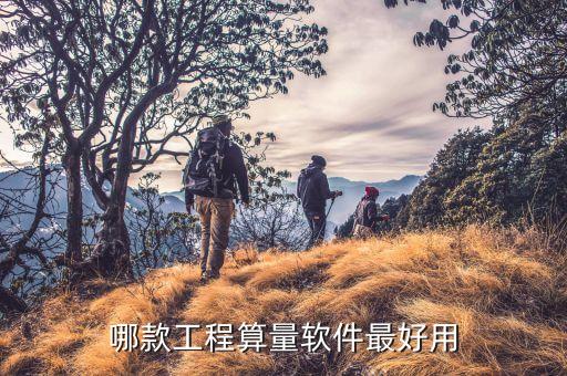 哪款工程算量软件最好用