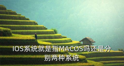IOS系统就是指MACOS吗还是分别两种系统