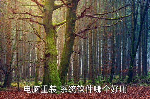 电脑重装 系统软件哪个好用