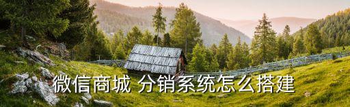 微信商城 分销系统怎么搭建