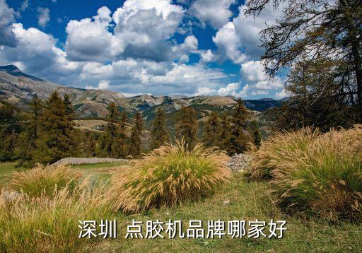  深圳 点胶机品牌哪家好
