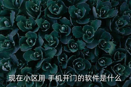 现在小区用 手机开门的软件是什么