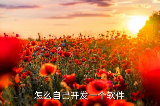 怎么自己开发一个软件