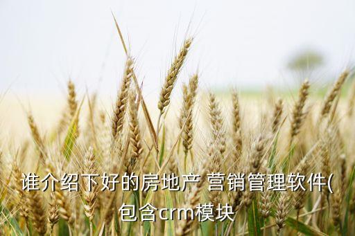 谁介绍下好的房地产 营销管理软件(包含crm模块
