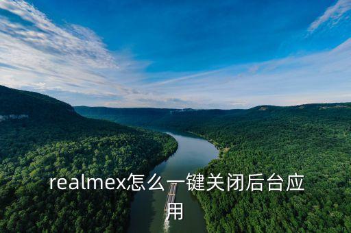  realmex怎么一键关闭后台应用