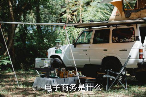 van系统软件是用来干嘛的