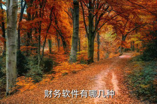 公司用的财务系统软件