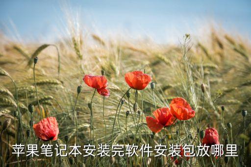 苹果笔记本安装完软件安装包放哪里