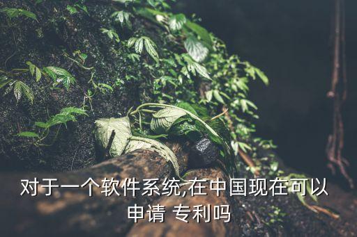 对于一个软件系统,在中国现在可以 申请 专利吗
