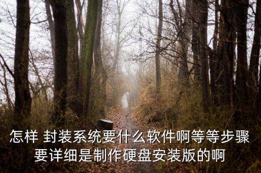 怎样 封装系统要什么软件啊等等步骤要详细是制作硬盘安装版的啊