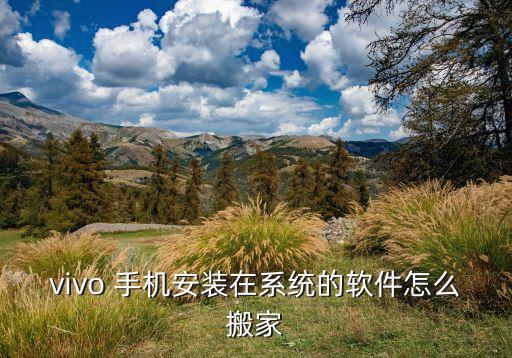 手机系统软件如何移植,如何删除手机系统软件
