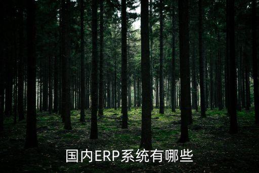 国内ERP系统有哪些