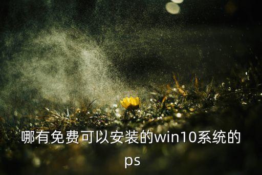 哪有免费可以安装的win10系统的 ps