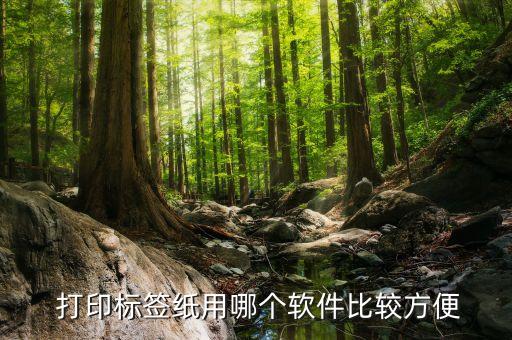 视觉打印系统软件