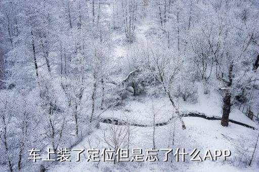 车上装了定位但是忘了什么APP