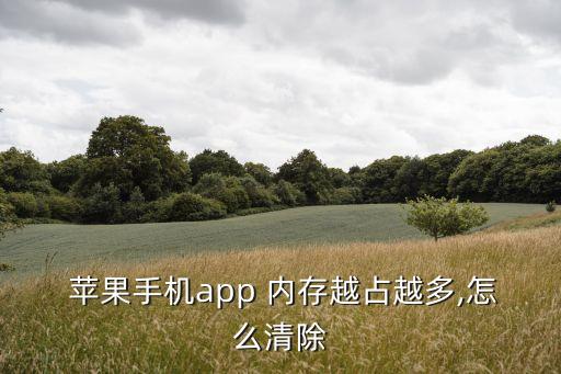  苹果手机app 内存越占越多,怎么清除