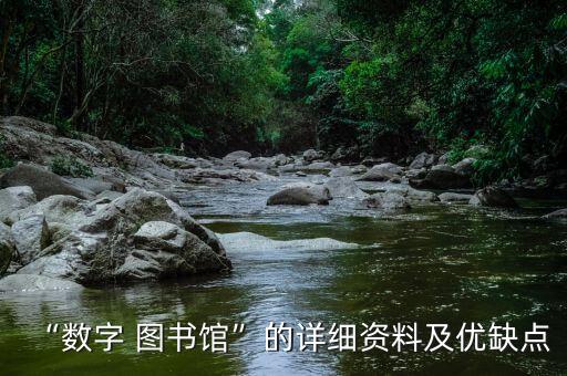 “数字 图书馆”的详细资料及优缺点