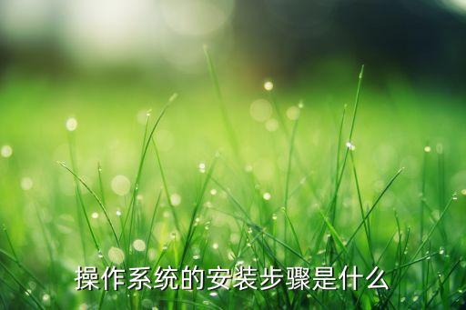 操作系统的安装步骤是什么