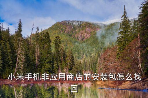  小米手机非应用商店的安装包怎么找回