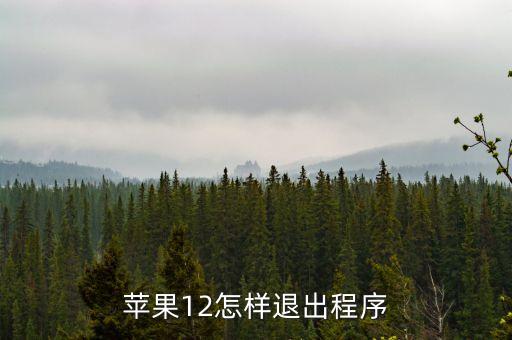苹果12怎样退出程序