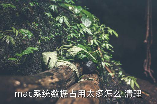 mac系统数据占用太多怎么 清理