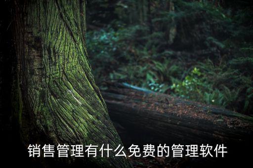  销售管理有什么免费的管理软件