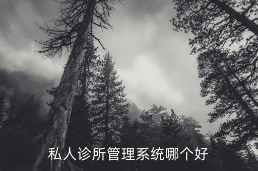 私人诊所管理系统哪个好