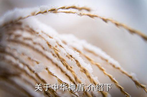关于中华神盾,介绍下