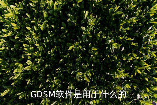 GDSM软件是用于什么的