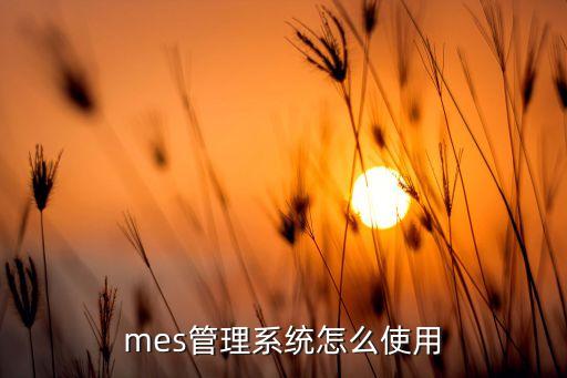 重庆自动生产执行系统软件