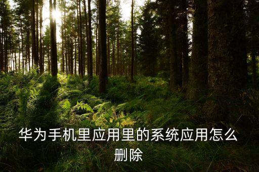  华为手机里应用里的系统应用怎么 删除