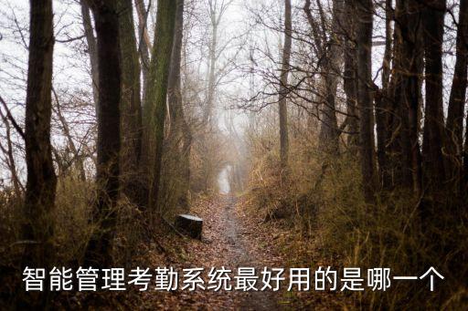 智能管理考勤系统最好用的是哪一个