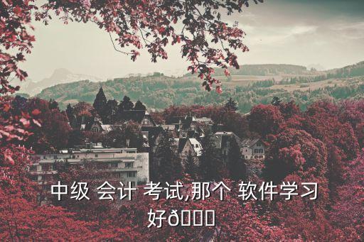 会计中级考试模拟系统软件,中级会计考试有哪些软件推荐?