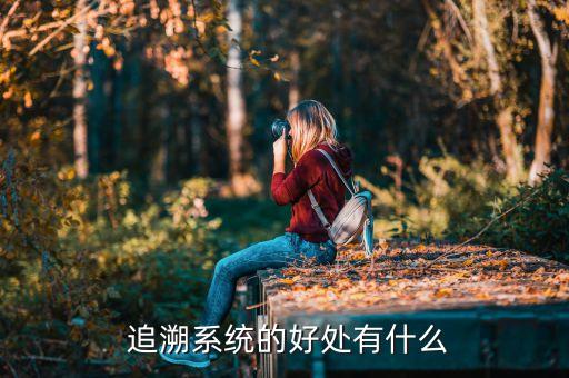  追溯系统的好处有什么