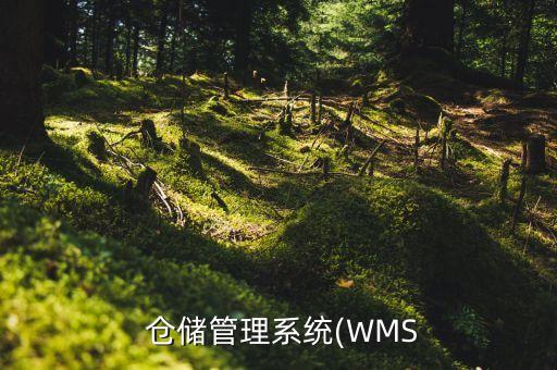  仓储管理系统(WMS
