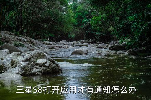  三星S8打开应用才有通知怎么办